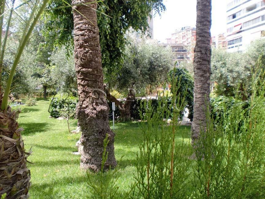 Apartamentos Cervantes Benidorm Esterno foto